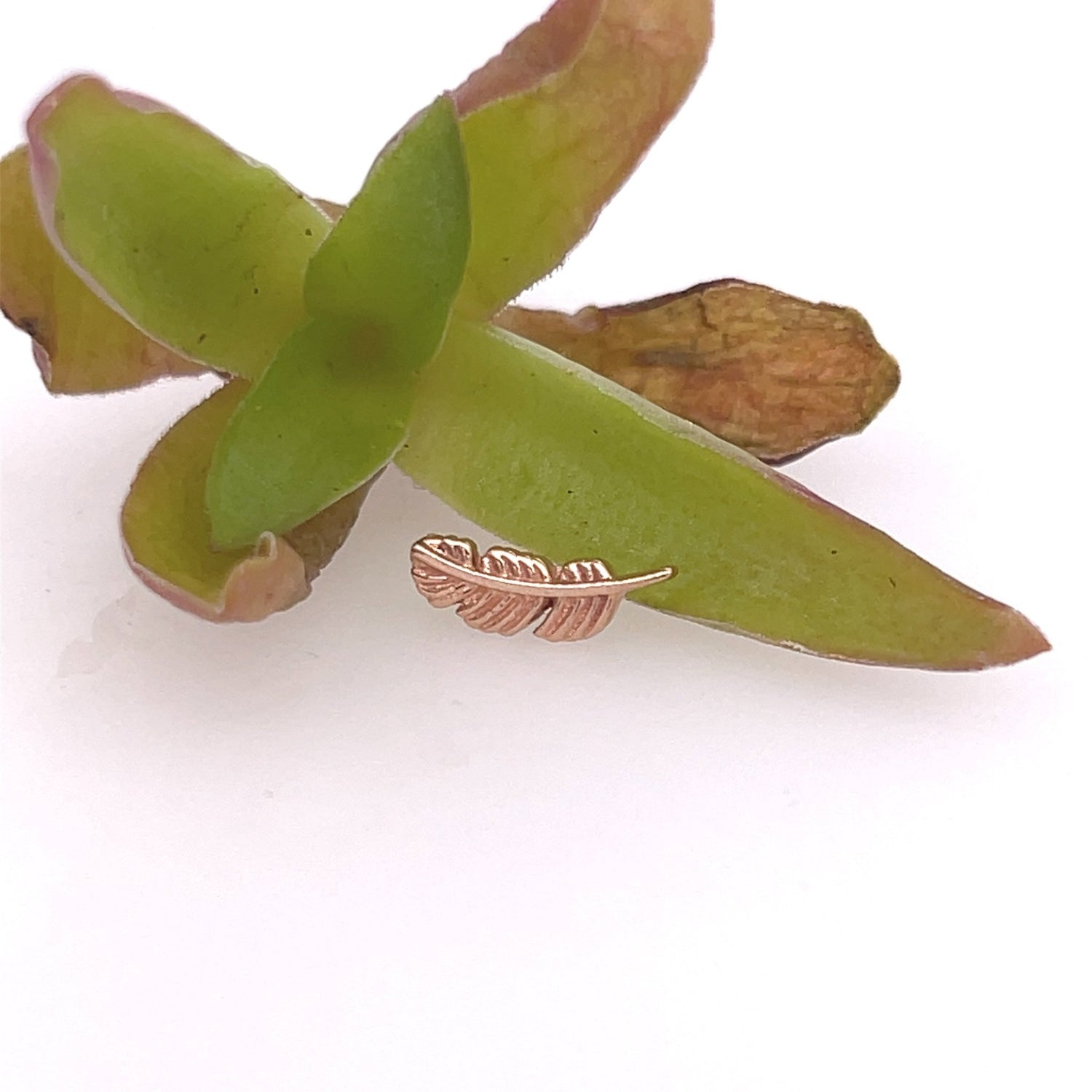 Feather 10mm - Agave in Bloom