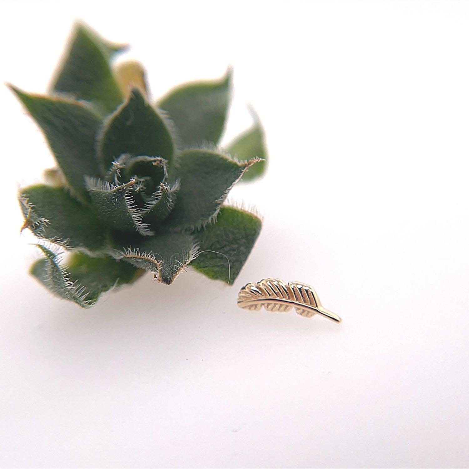 Feather 10mm - Agave in Bloom