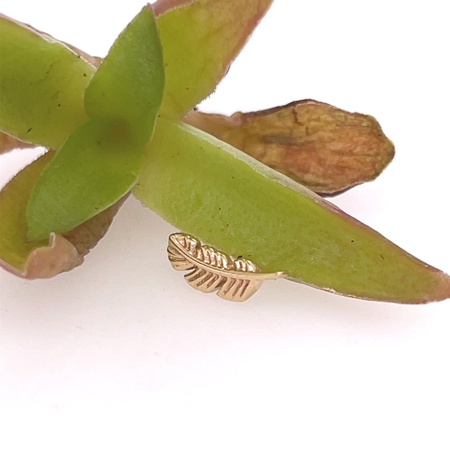 Feather 10mm - Agave in Bloom