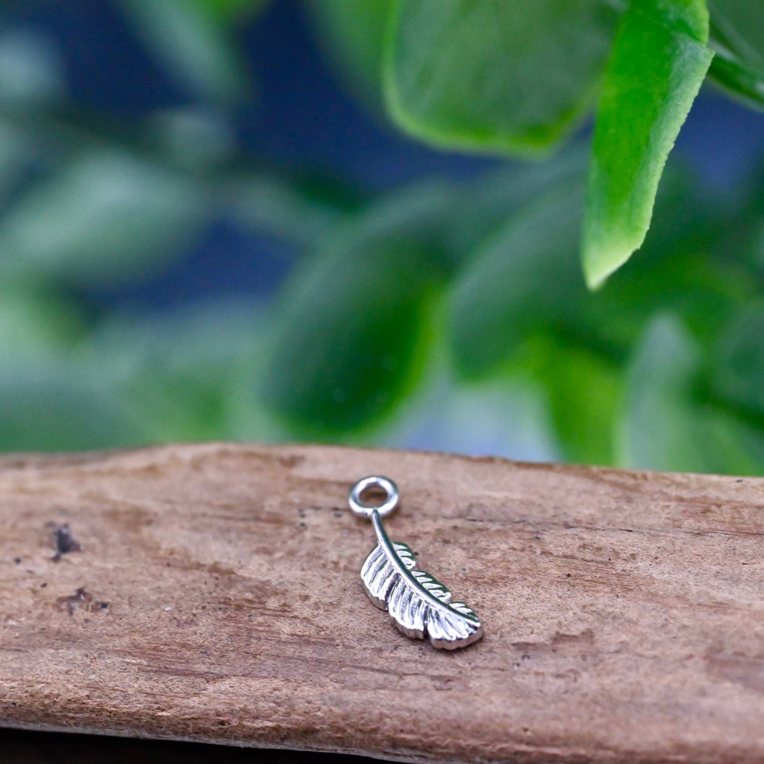 Feather Charm - 10mm - Agave in Bloom