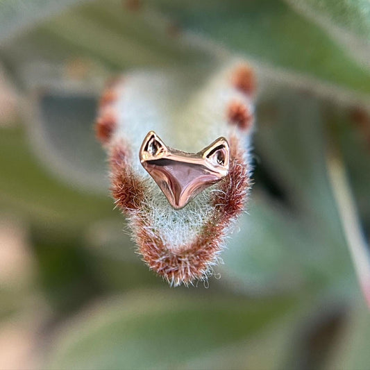 Felicity the Fox - Agave in Bloom