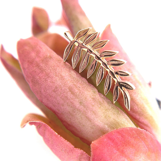 Fern - Agave in Bloom