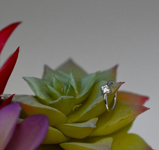 Fixed Ring with 2.5mm Open Back Round Bezel - Navel Orientation - Agave in Bloom