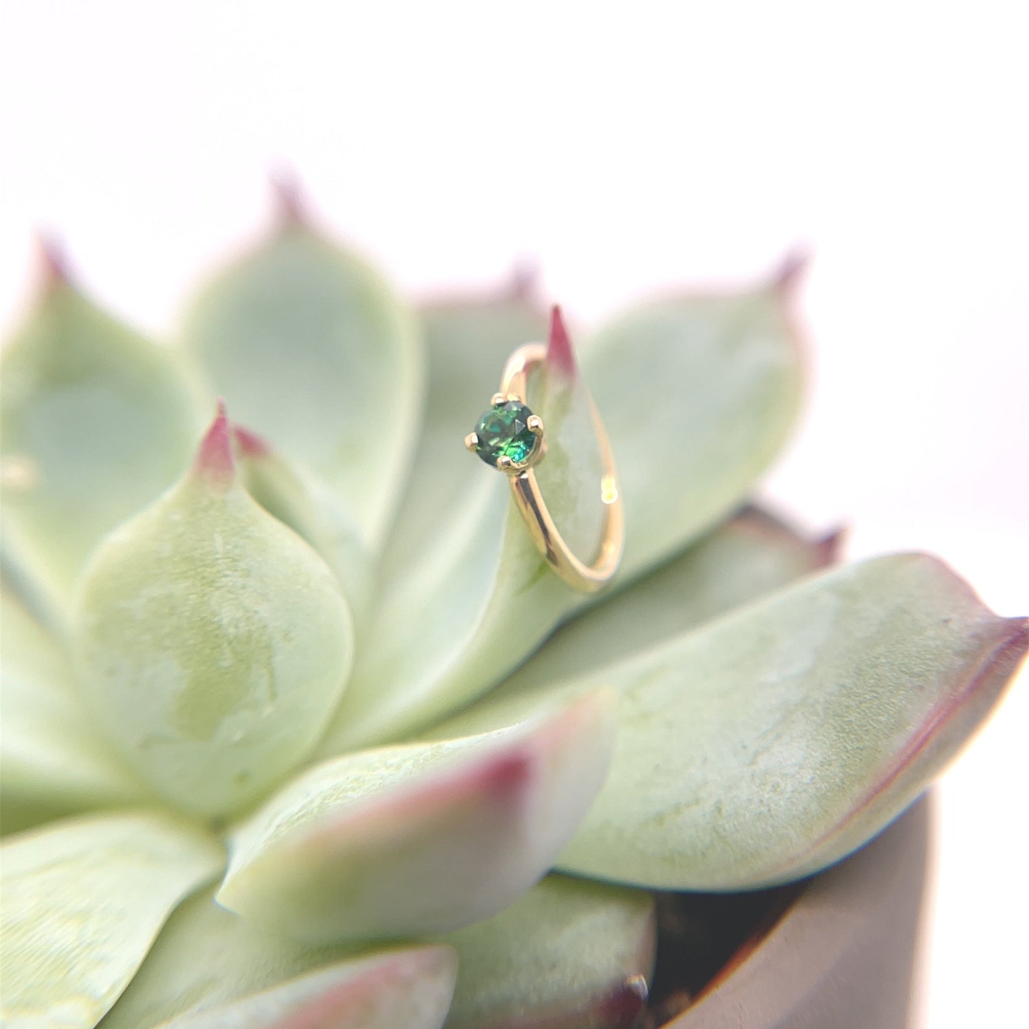 Fixed Ring with 3mm Round Prong Set Gemstone - Navel Orientation - Agave in Bloom