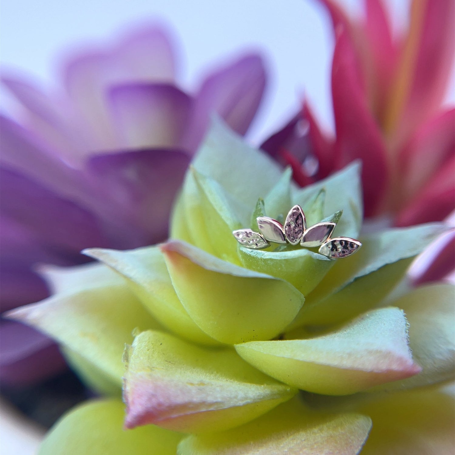 Flat Serenity - Hammered/High Polish - Agave in Bloom