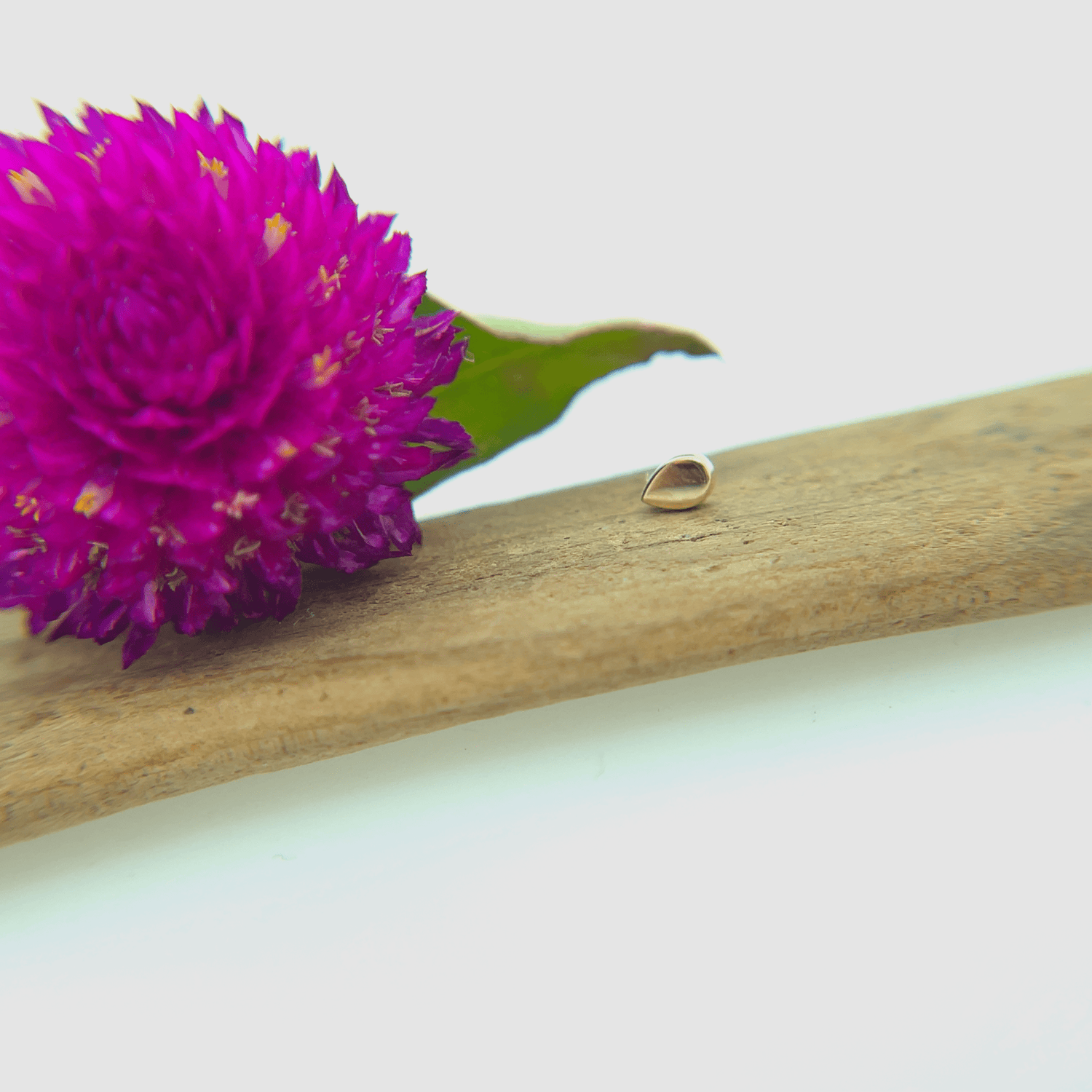 Flat Teardrop - Agave in Bloom