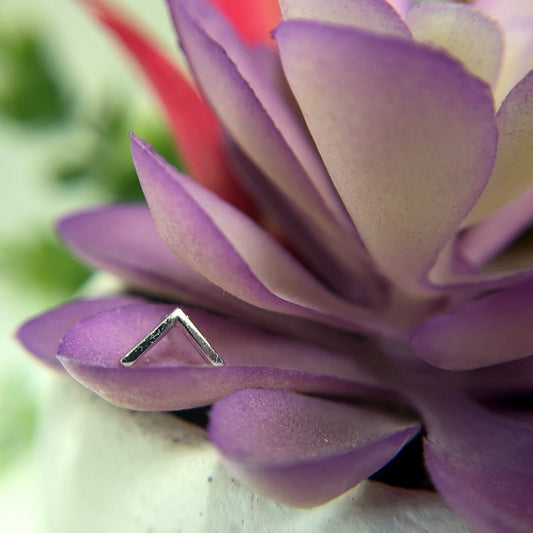 Flat V 8mm - Agave in Bloom