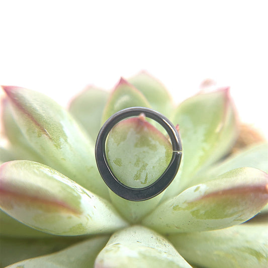 Flattened High Polish Black Niobium Seam Ring - Agave in Bloom