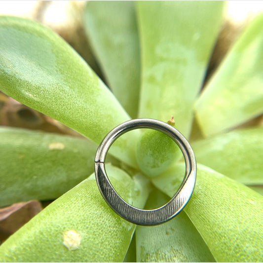Flattened Niobium Seam Ring - Agave in Bloom