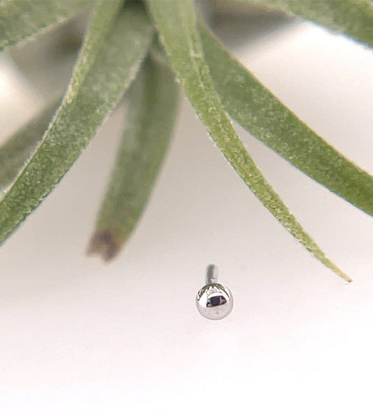 Half Dome 1.5mm - Agave in Bloom