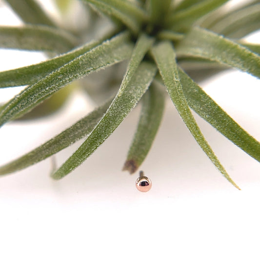 Half Dome 1.5mm - Agave in Bloom