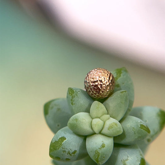 Hammered Bead Threaded 5/32" - Agave in Bloom