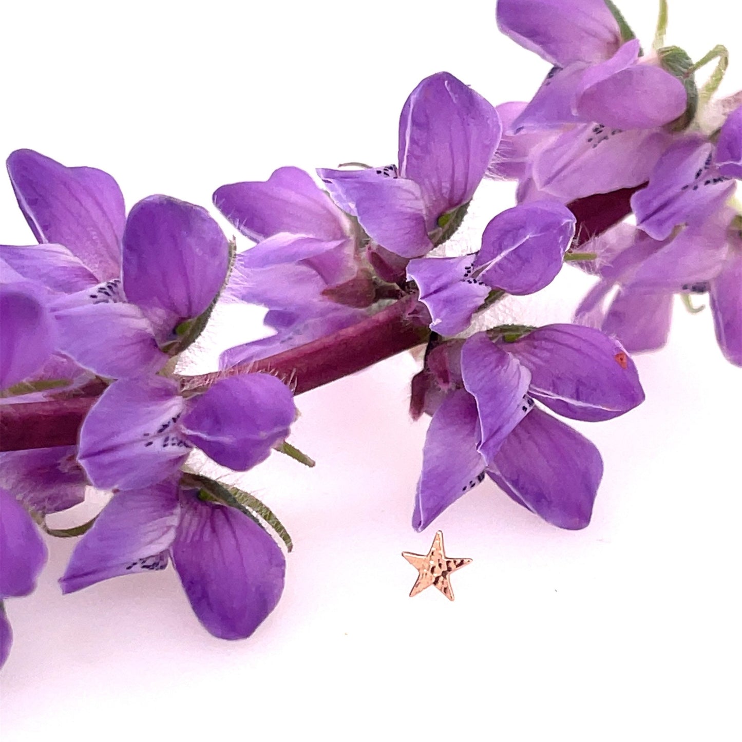 Hammered Flat Star 4.5mm - Agave in Bloom