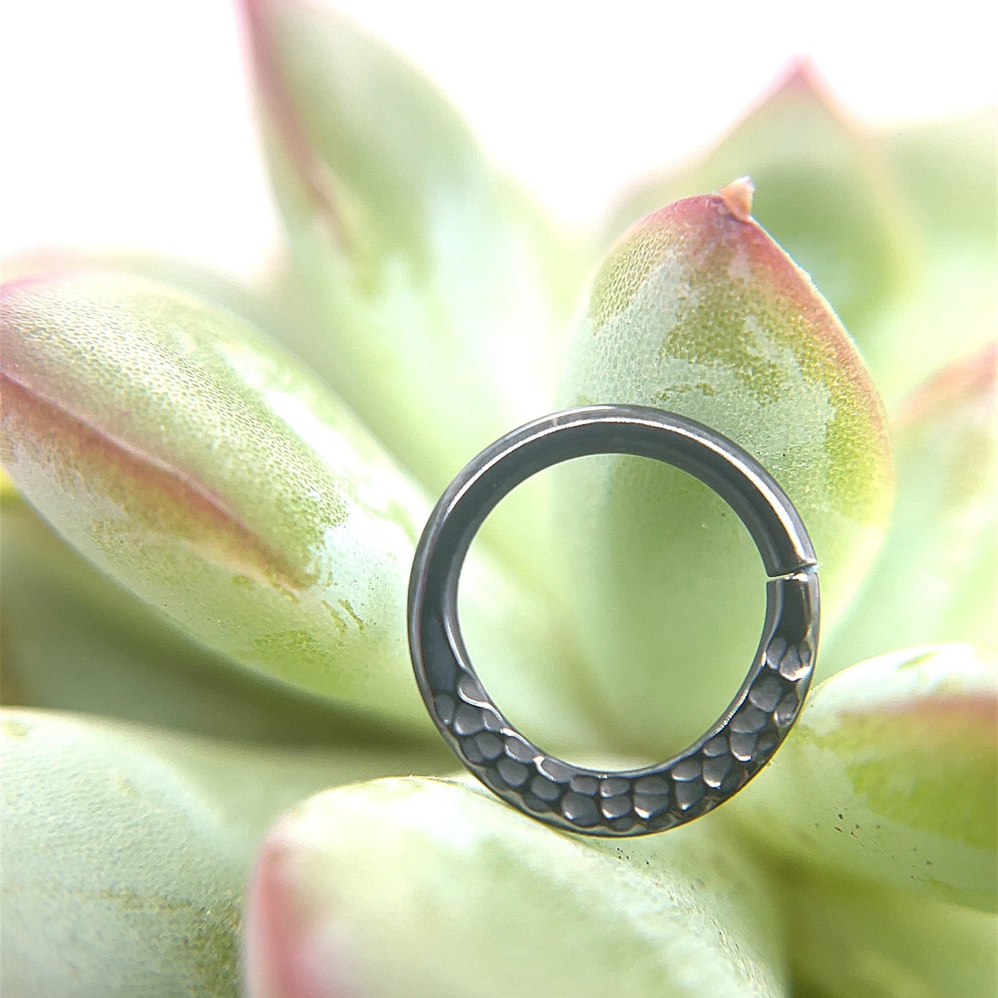 Hammered High Polish Black Niobium Seam Ring - Agave in Bloom