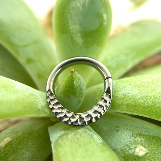 Hammered Niobium Seam Ring - Agave in Bloom