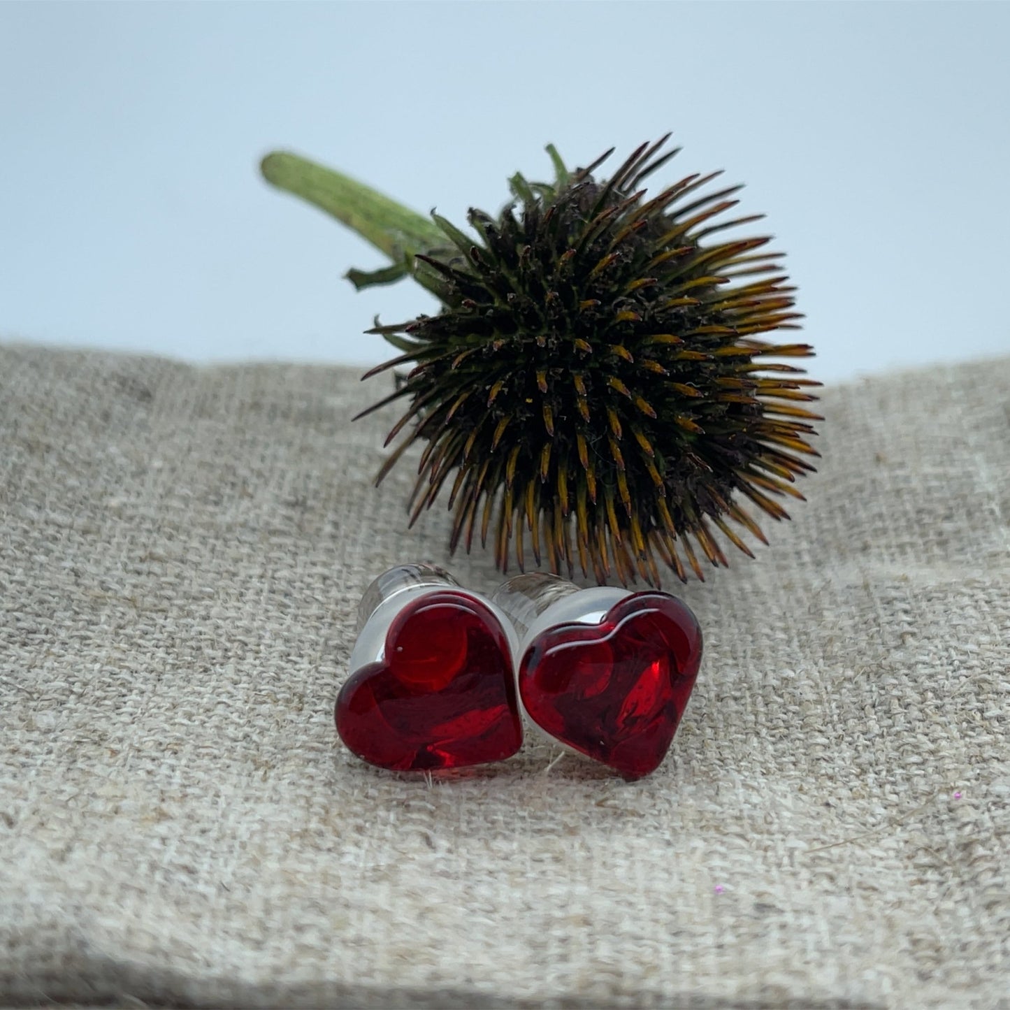 Heart Plugs - Pair - Agave in Bloom