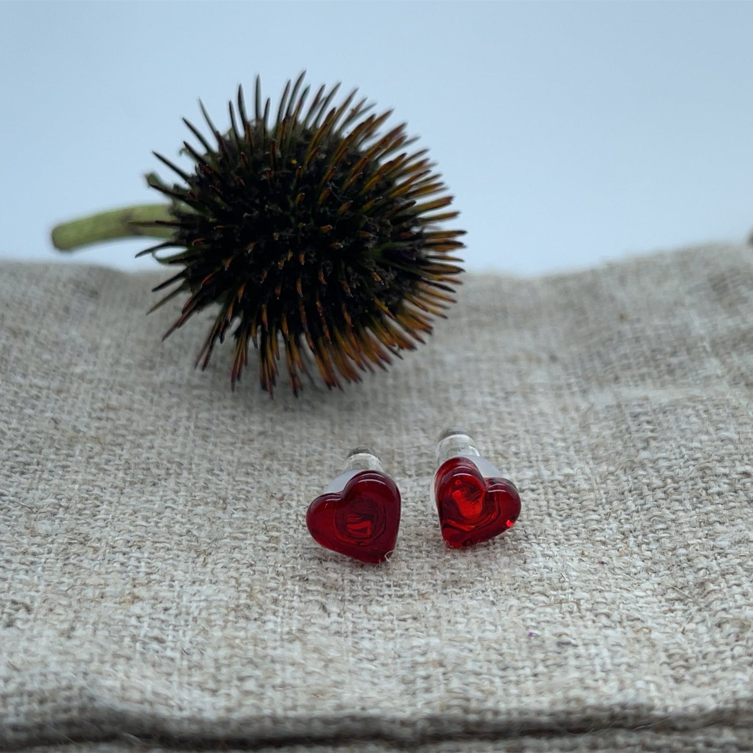 Heart Plugs - Pair - Agave in Bloom