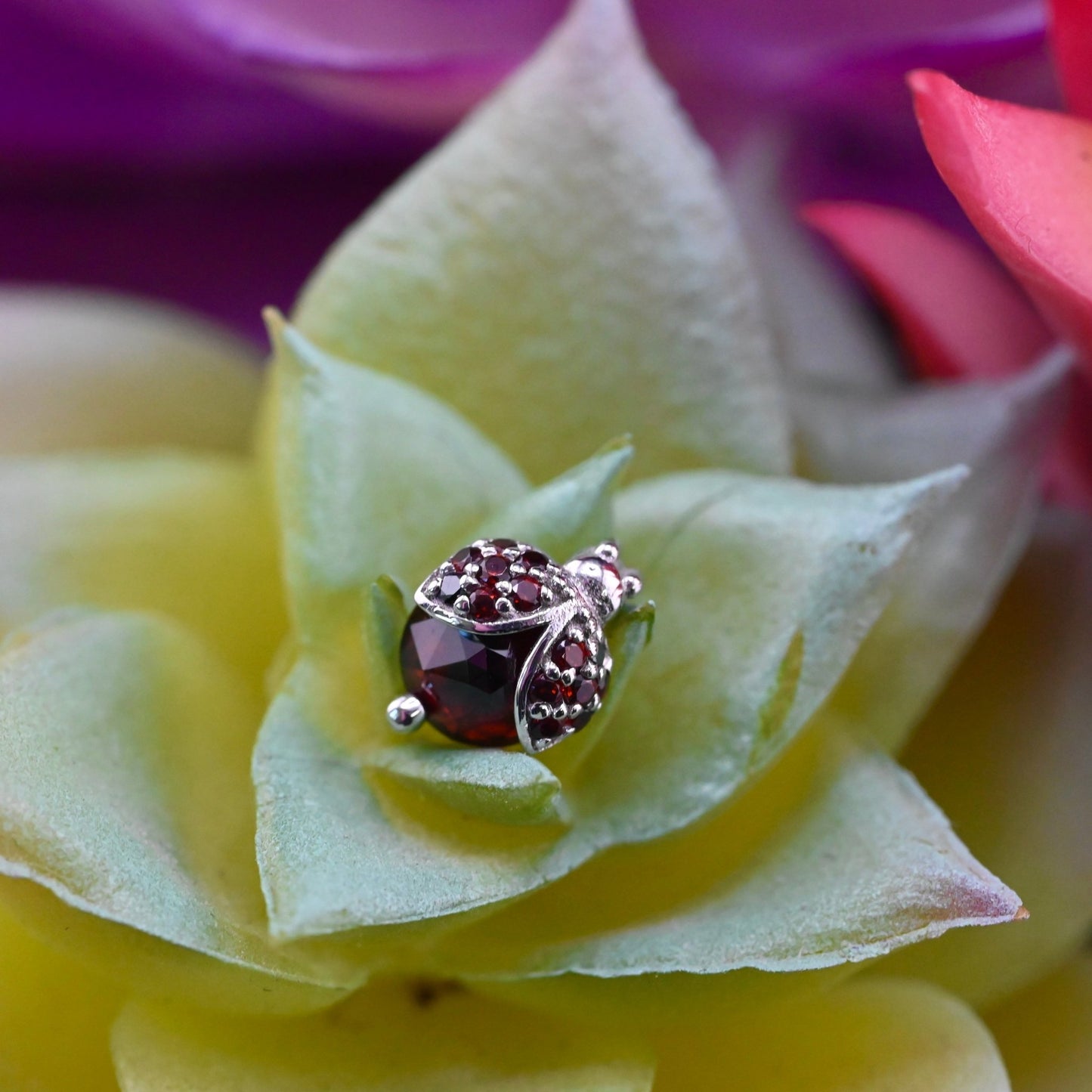 Lady Bird Beetle - Agave in Bloom