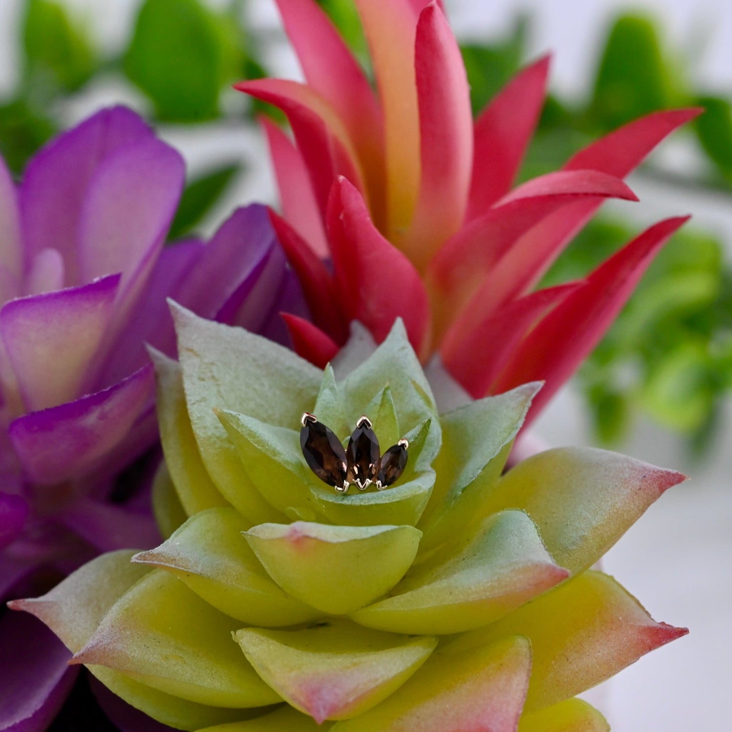 Large French Kiss - Threaded - Agave in Bloom