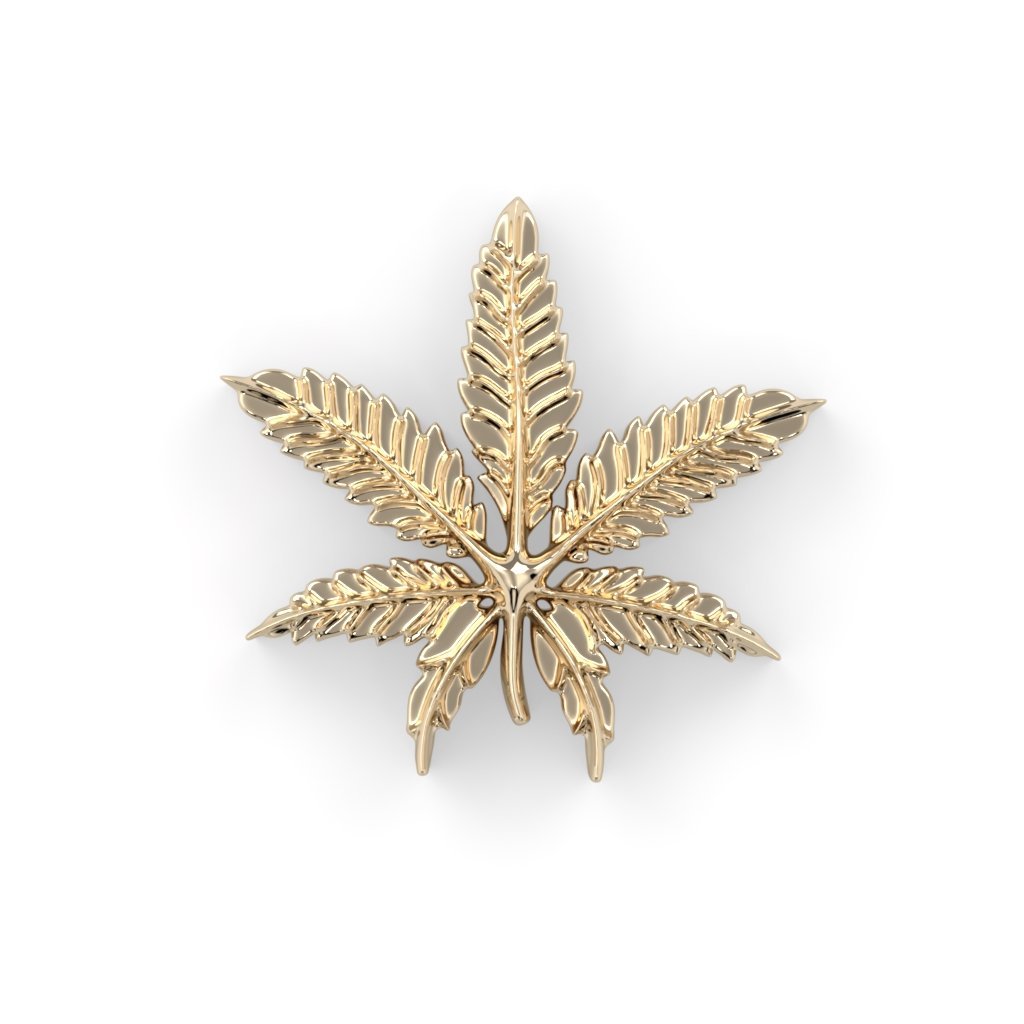 Marijuana Leaf - Agave in Bloom