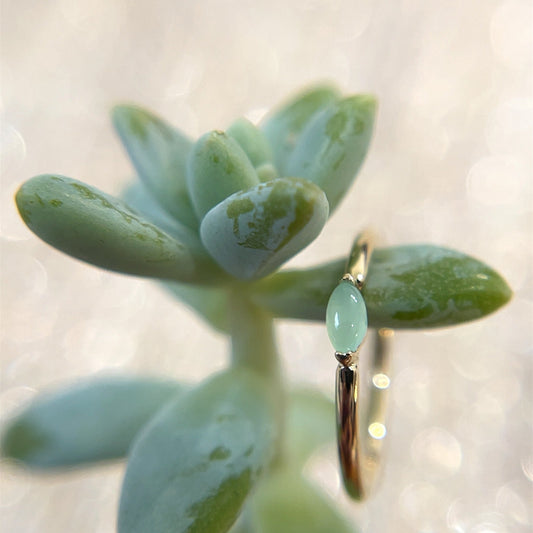 Marquise V Prong Fixed Ring (navel orientation) - Agave in Bloom