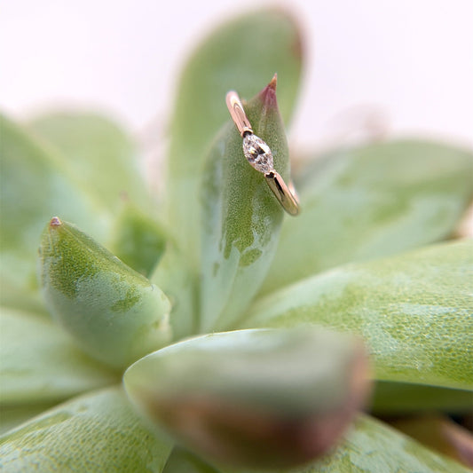 Marquise V Prong Fixed Ring (navel orientation) - Agave in Bloom