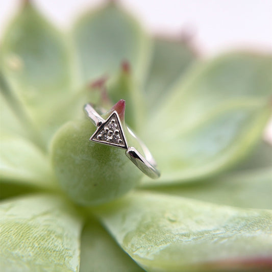 Micro Pave Triangle Seam Ring - Navel Orientation - Agave in Bloom