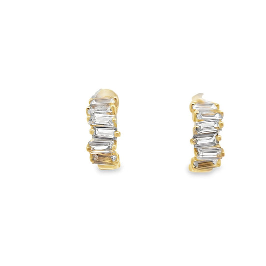 Mini Huggie Earring Pair - Agave in Bloom