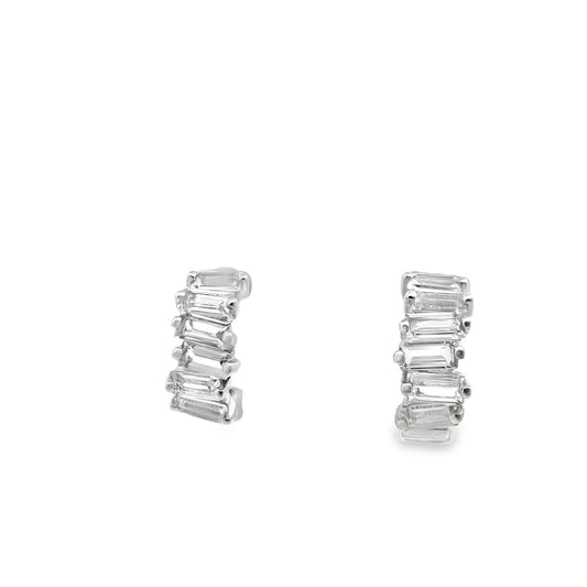 Mini Huggie Earring Pair - Agave in Bloom