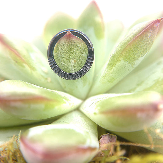 Morrigan High Polish Black Niobium Seam Ring - Agave in Bloom
