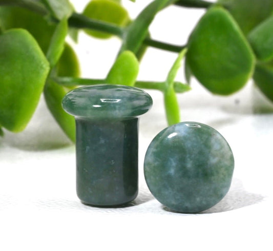 Moss Agate Single Flare Plugs - Pair - Agave in Bloom