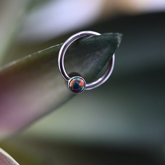 Niobium Captive Bead Ring - Agave in Bloom