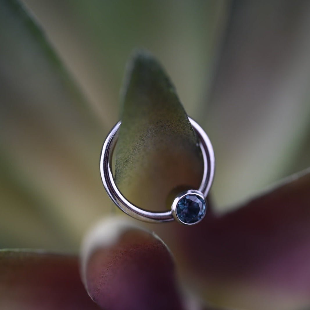 Niobium Captive Bead Ring - Agave in Bloom