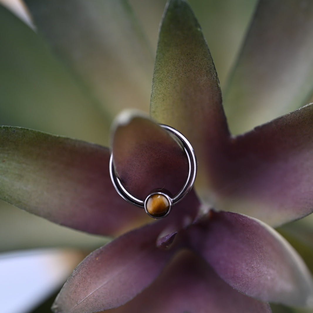 Niobium Captive Bead Ring - Agave in Bloom