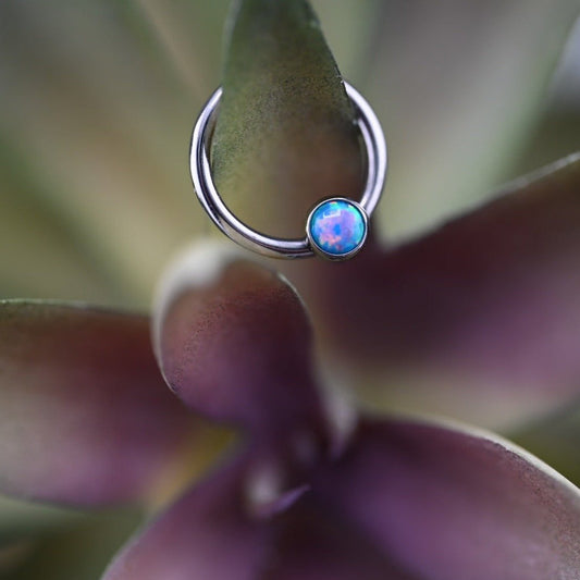 Niobium Captive Bead Ring - Agave in Bloom