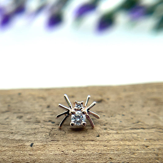 Octo (Spider) - Agave in Bloom