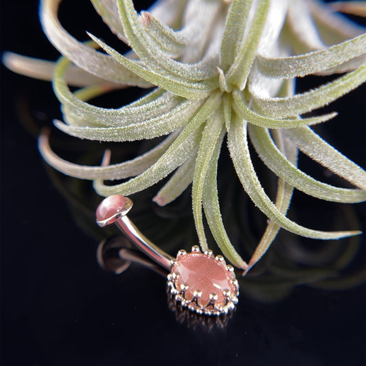 Oval Crown Navel Curve with Round Cup Top - Agave in Bloom