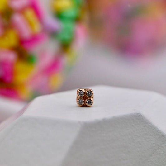 Primary Squrrr! - Agave in Bloom