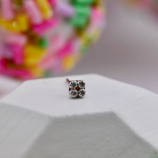 Primary Squrrr! - Agave in Bloom