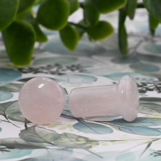 Rose Quartz Single Flare Plugs - Pair - Agave in Bloom