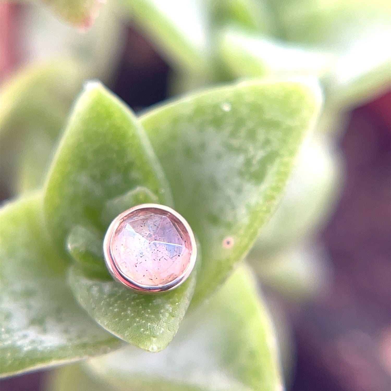 Round Cup 3mm - 14g Threaded - Agave in Bloom