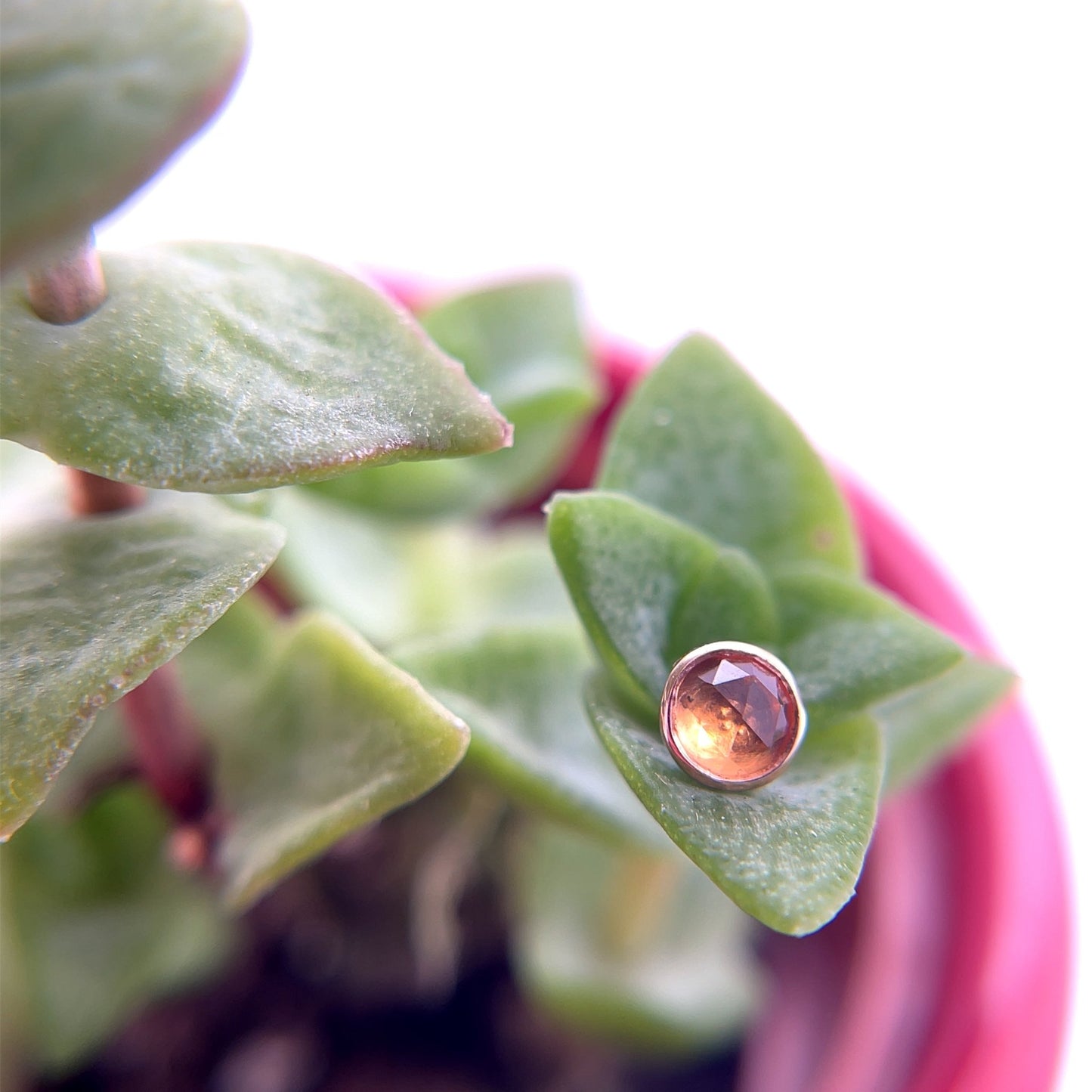 Round Cup 3mm - 14g Threaded - Agave in Bloom