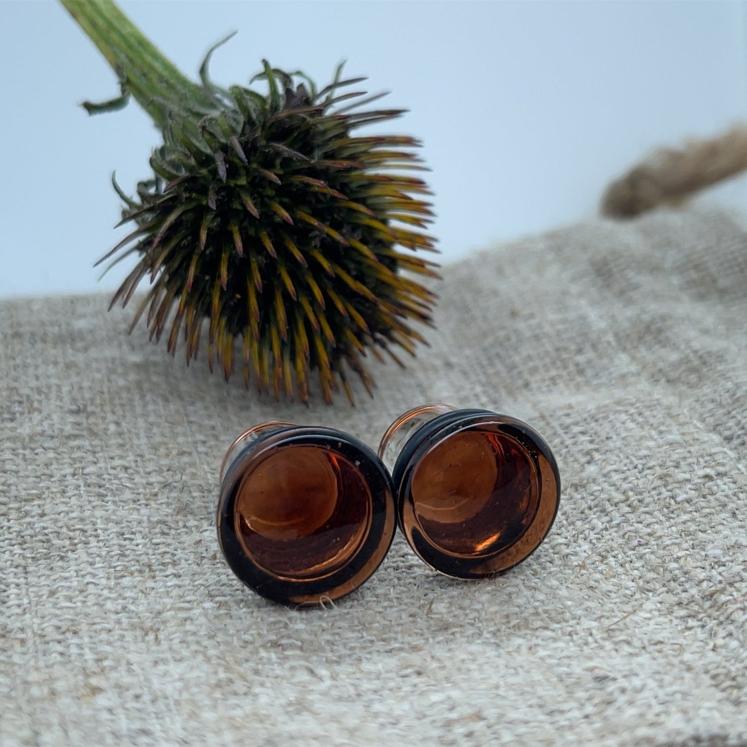 Single Flare Colorfront Plugs - 000g - Pair - Agave in Bloom