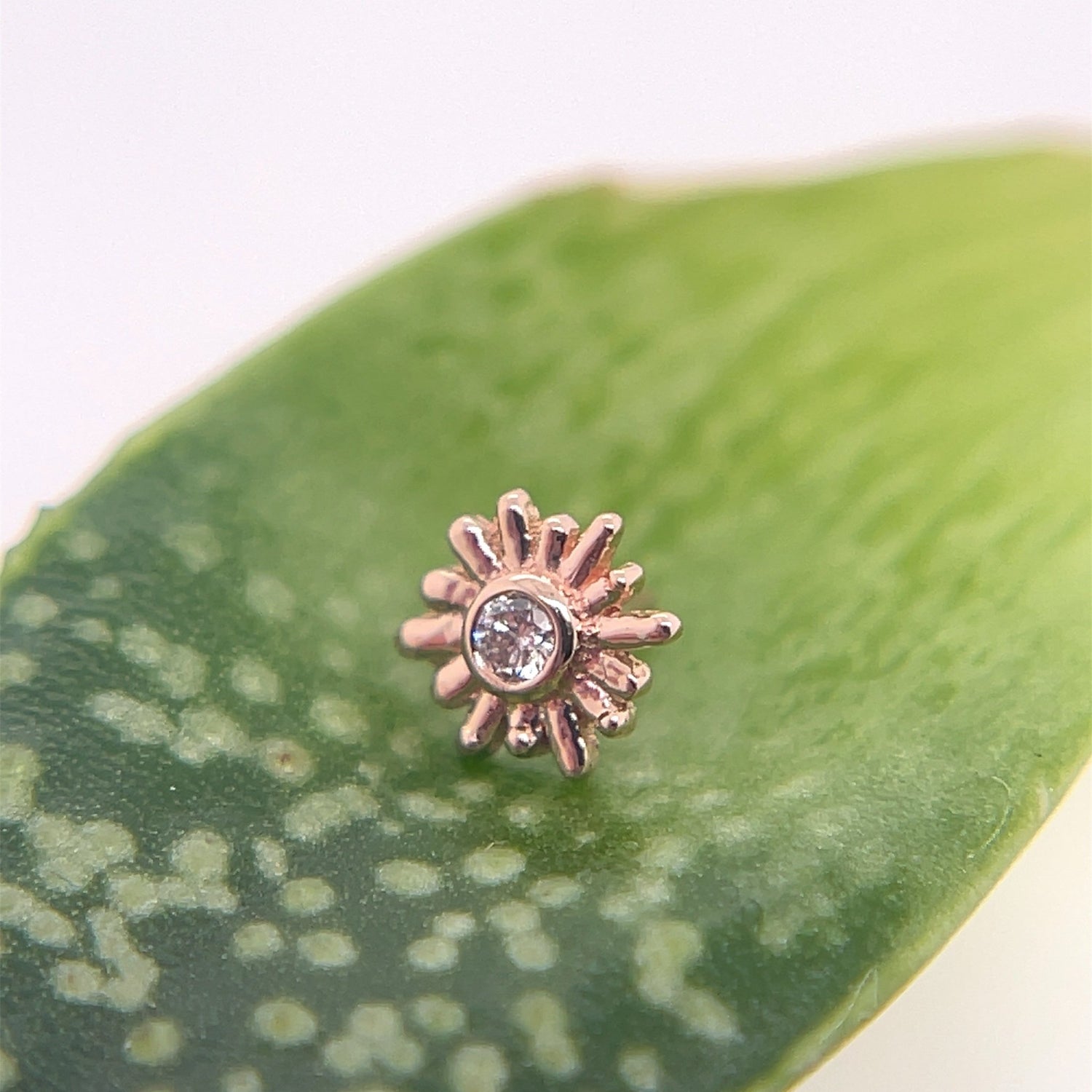 Small Sunray - 4mm - Agave in Bloom