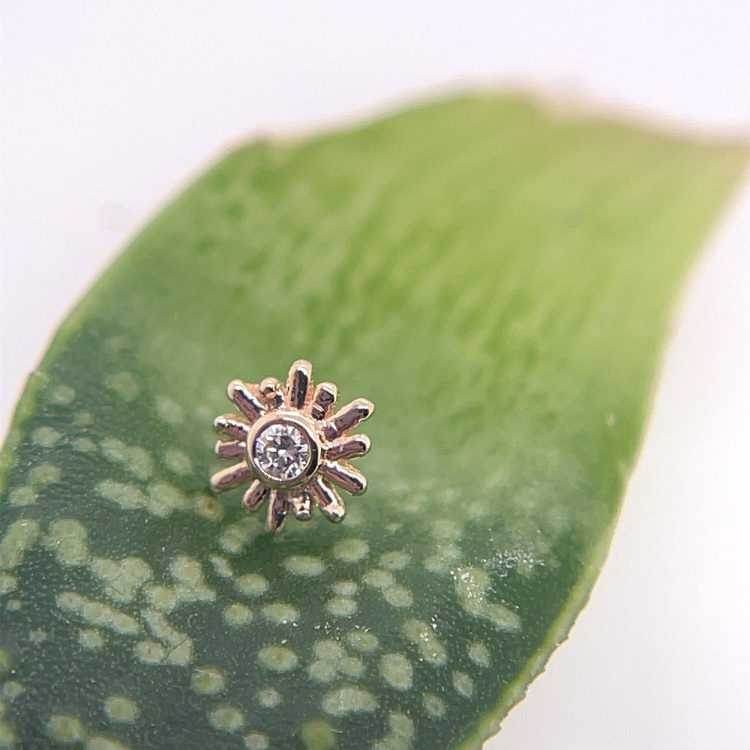 Small Sunray - 4mm - Agave in Bloom