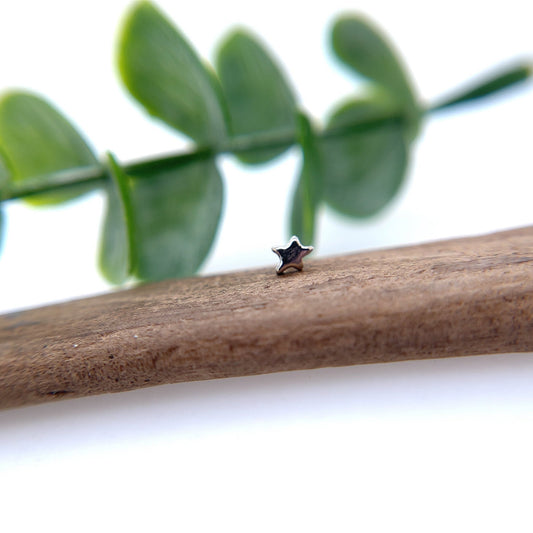 Star - Small - Agave in Bloom