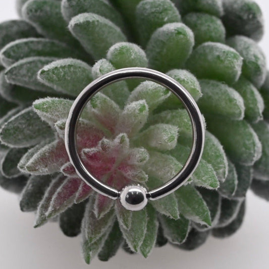 Steel Captive Bead Ring - Agave in Bloom