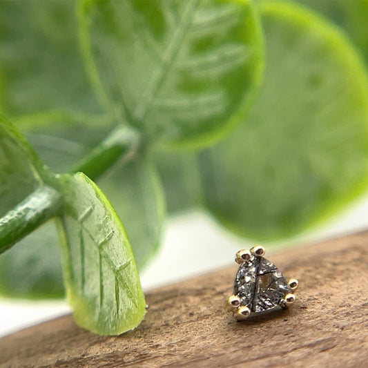 Tanti - Threaded - Agave in Bloom