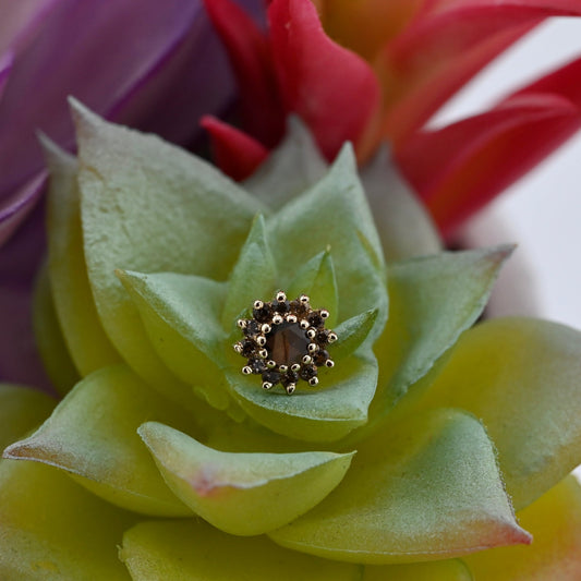 The Rose - 6mm - Agave in Bloom