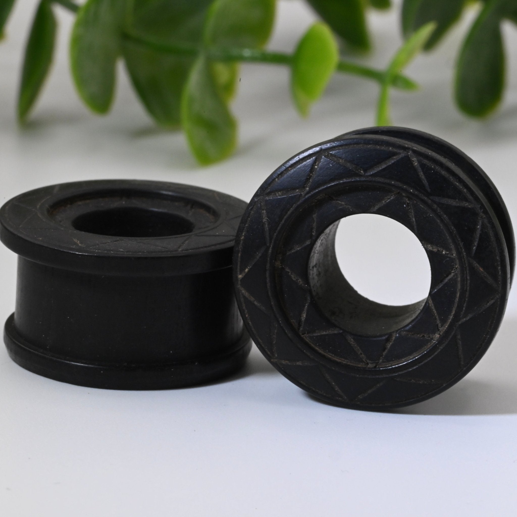 Tiered Double Spool Plugs - Pair – Agave in Bloom